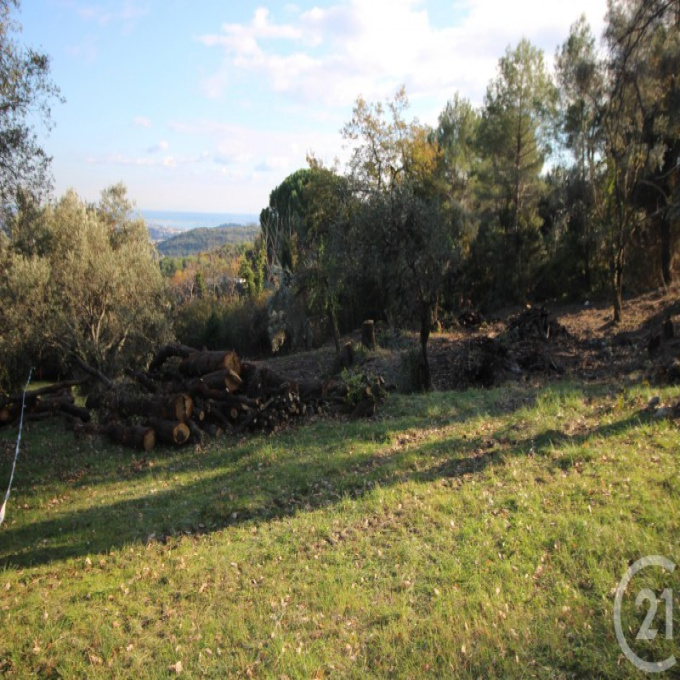 Offres de vente Terrain Roquefort-les-Pins (06330)