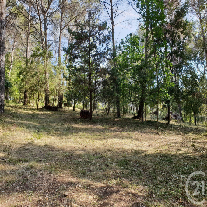 Offres de vente Terrain Roquefort-les-Pins (06330)