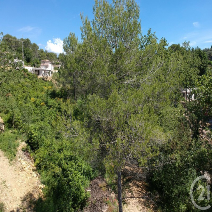 Offres de vente Terrain Opio (06650)