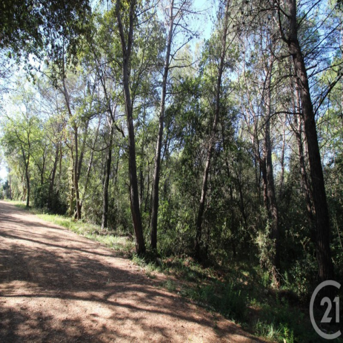 Offres de vente Terrain Valbonne (06560)