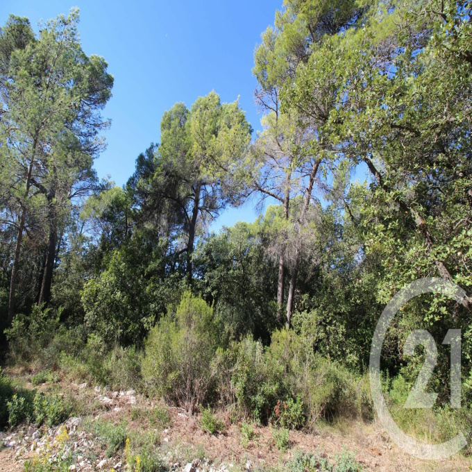 Offres de vente Terrain Valbonne (06560)