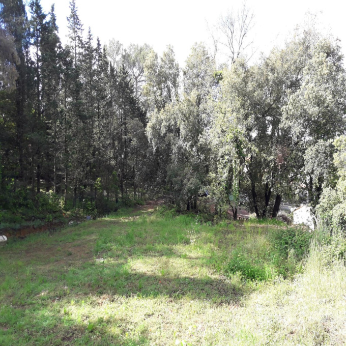 Offres de vente Terrain Biot (06410)