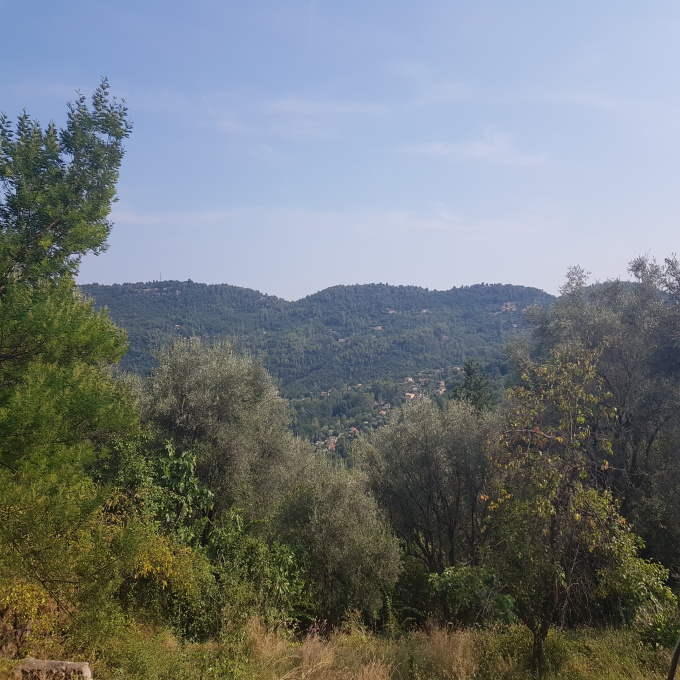 Offres de vente Terrain Le Bar-sur-Loup (06620)
